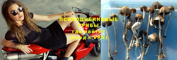 spice Снежинск